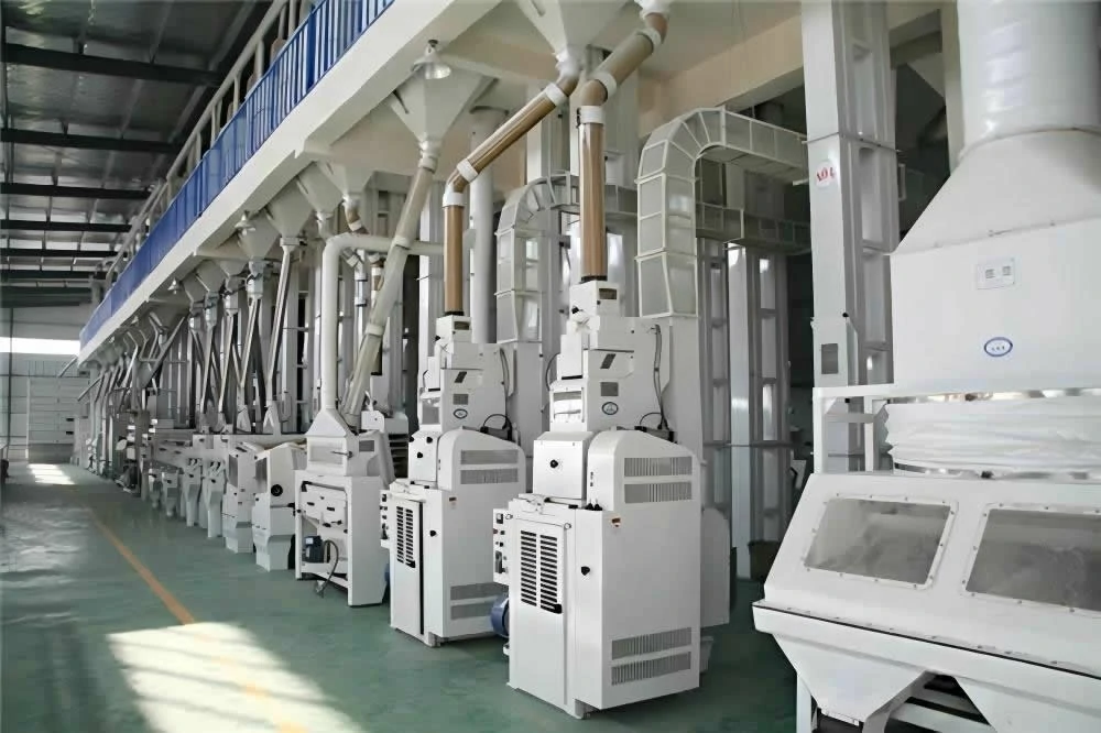 rice processing plant cost 500 tpd automatic rice mill plant